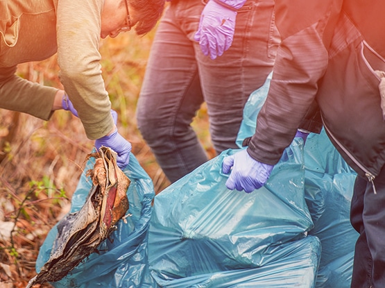 Für den 16. März 2024 hatte die Verbandsgemeinde Vallendar zur Aktion Saubere Landschaft 2024 - Dreckwegtag aufgerufen. Daran beteiligte sich auch die Vinzenz Pallotti University und sammelte im Wambachtal fleißig Müll ein.