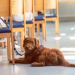 SNY02948 Bearbeitet Bea Rot Blog