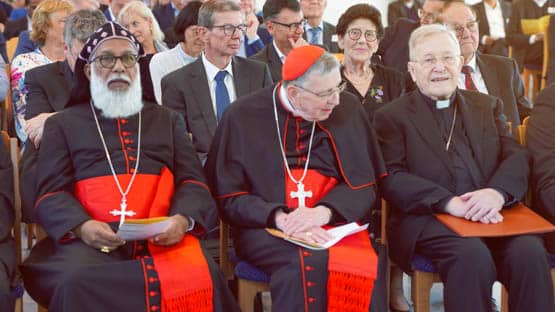 Kardinäle Plenum Bearbeitet Bea Rot Blog